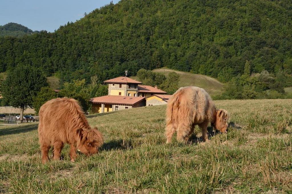 Agriturismo Ca Bella Villa San Sebastiano Curone Bagian luar foto