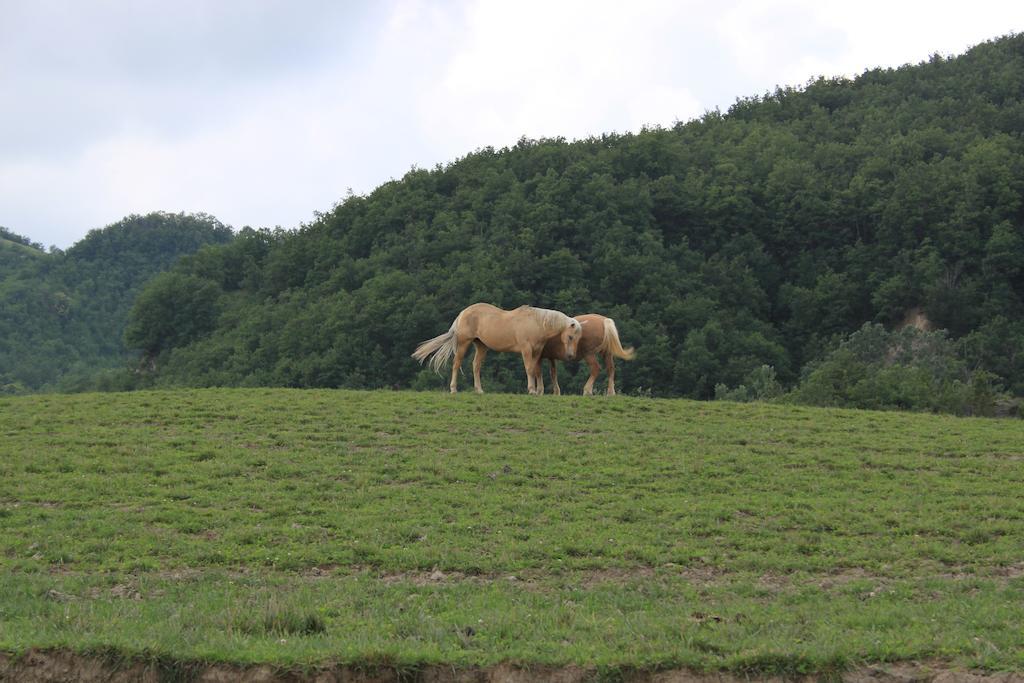 Agriturismo Ca Bella Villa San Sebastiano Curone Bagian luar foto