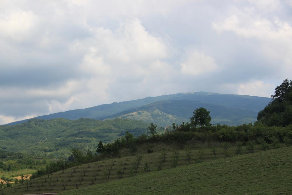 Agriturismo Ca Bella Villa San Sebastiano Curone Bagian luar foto